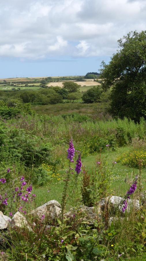 Higher Trenear Farm B&B Helston Exteriör bild